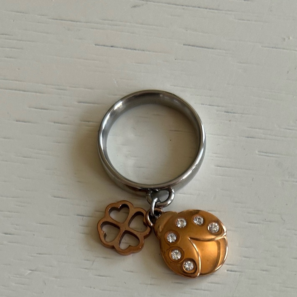 Silver and Gold Ring with Charms